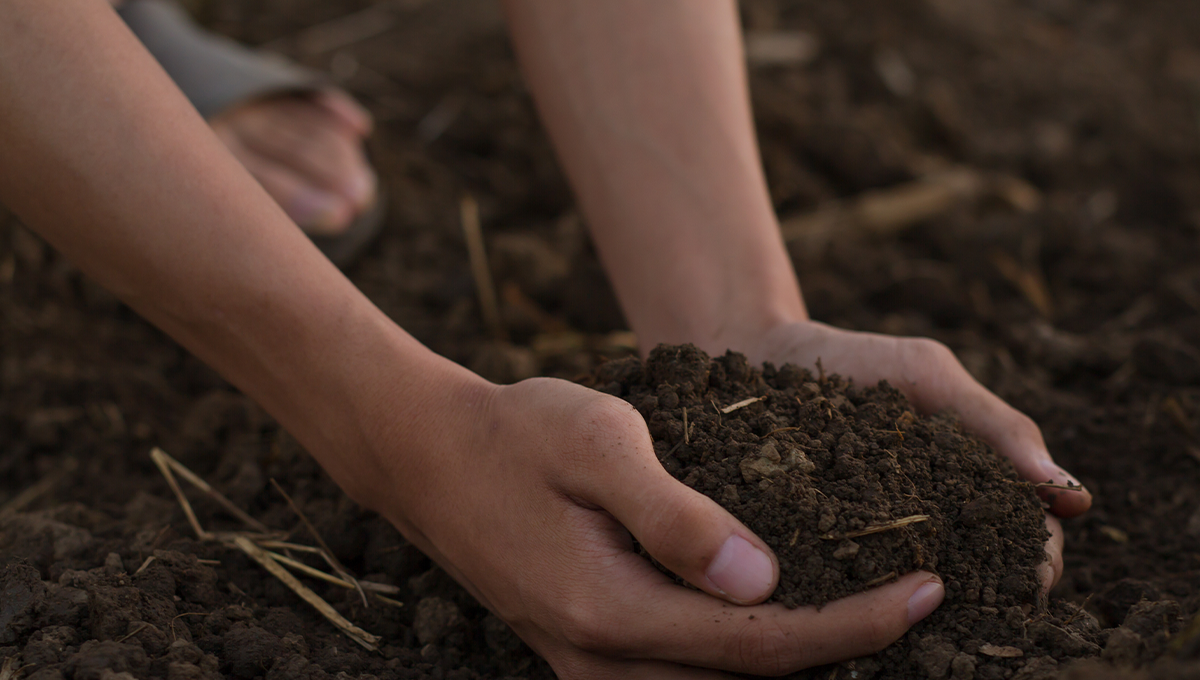 Heavy Metals in Soil