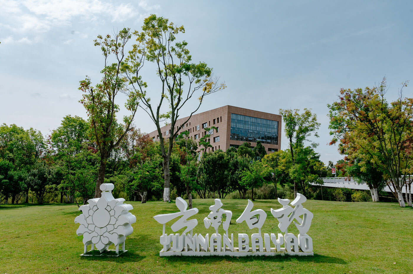 Yunnan Baiyao Group Co., Ltd.