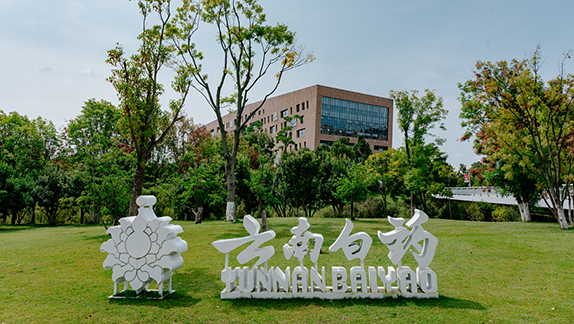 Yunnan Baiyao Group Co., Ltd.